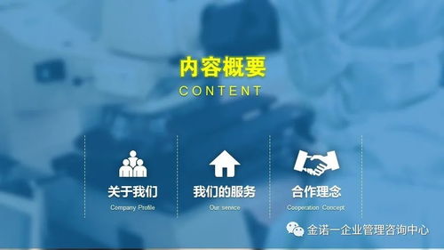 企業人員管理項目咨詢與信息技術咨詢服務 金諾一企業管理咨詢中心介紹
